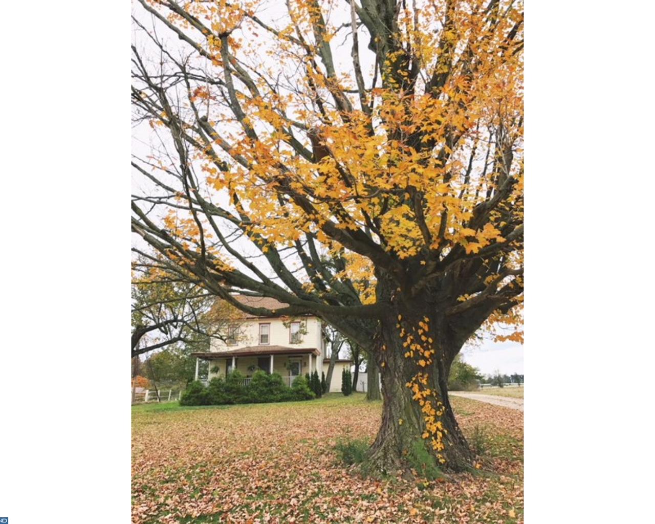 JUST LISTED!! 567 ELDRIDGES HILL ROAD PILESGROVE NJ Castle Real